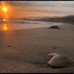 Meet your Posher, Leelee B.